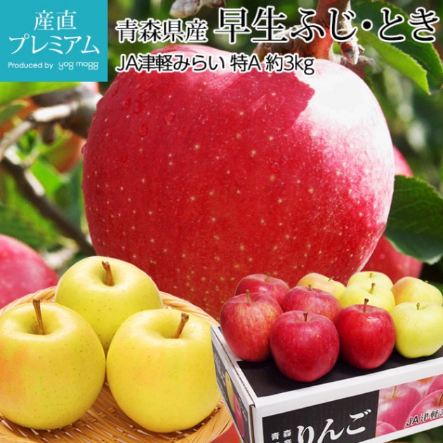 りんご 早生ふじ とき MIX 特A 約3kg 9～12玉 産地直送<br