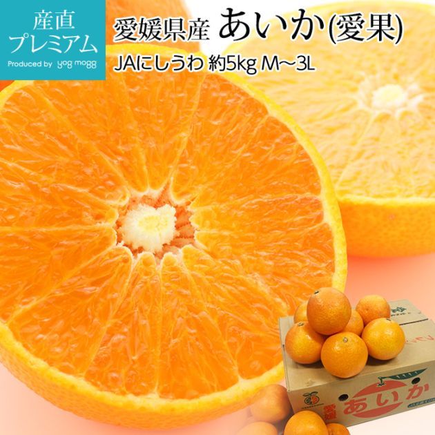 みかん あいか 愛果 約5kg M～3Lサイズ 16～30玉 愛媛県産 産地直送<br