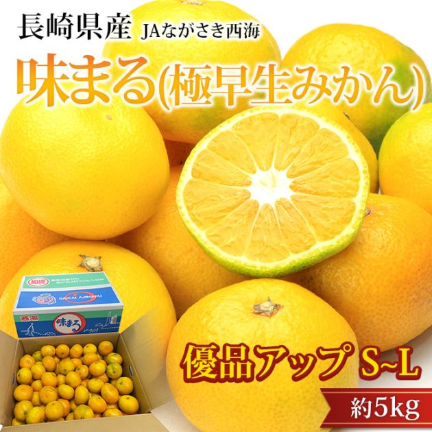 �ߤ��� ̣�ޤ� ͥ�ʥ��å� ��5kg S��L������ 40��60�� �������ߤ��� Ĺ�긩��<br>��̪�� �ߥ��� ���� ������ �ե롼�� ��ʪ ���ե� £�� �ץ쥼��� ��ˤ� Ȣ�������ۡڻ�ľ�ץ�ߥ����