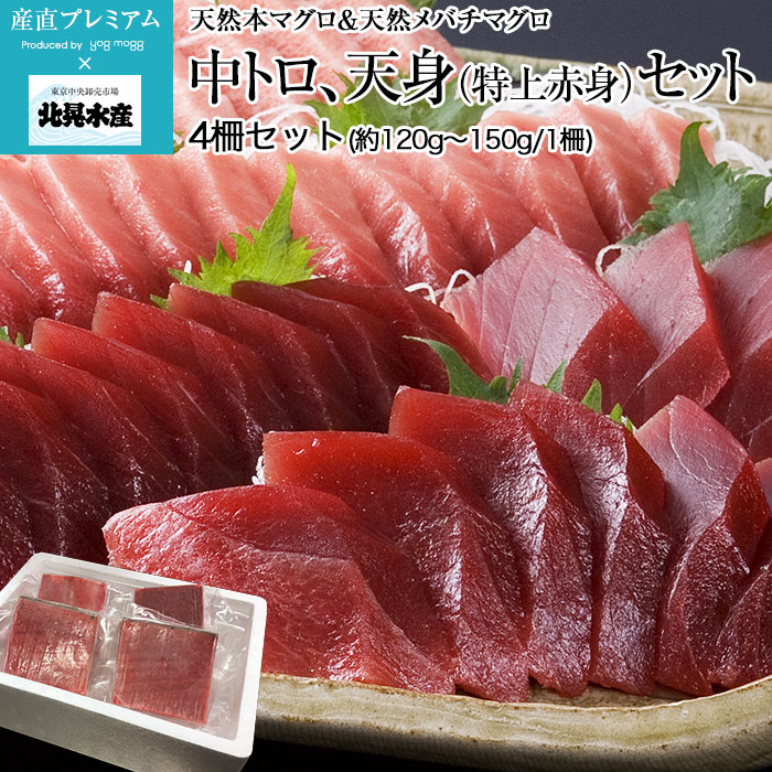 マグロ 中トロ、 天身（特上赤身）セット 天然本マグロ 天然
