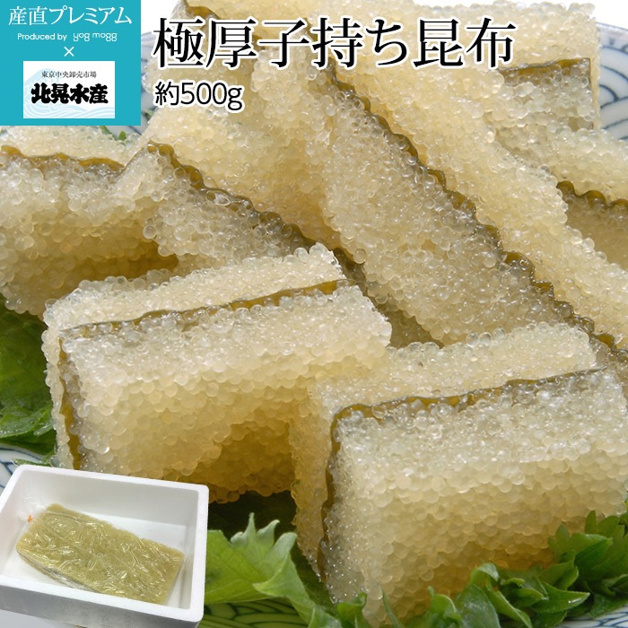  ˸һ 500g ̹建ڥ  һ  £ ץ쥼 ˤ ǯ  ۡڻľץߥ