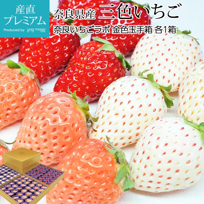 いちご 三色いちご 金色玉手箱 3種類 各1箱 奈良県産 産地直送