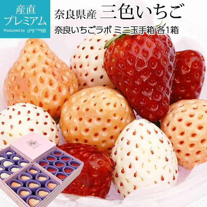 苺中③確認用（パールが赤もしくはライトピンク） 000000000573_fQRkM1q.jpg