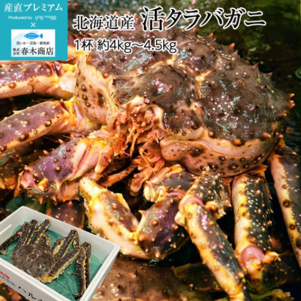 たらばがに 2缶 木箱入り タラバガニ棒肉缶詰2缶セット☆ | 北海道紋別市 | ふるさと納税サイト
