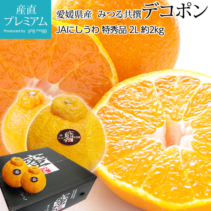 �ǥ��ݥ� �ý��� ��2kg 2L������ 8�� ��ɲ���� ̪�� ����14�ٰʾ� ����ľ��<br>�ڤߤ��� �ߥ��� ̪�� ���� �Ǥ��ݤ� ������ �ե롼�� ��ʪ ���ե� £�� �ץ쥼��� ��ˤ� ����12�ٰʾ� Ȣ�������ۡڻ�ľ�ץ�ߥ����