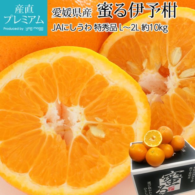 �ߤ��� ��ͽ�� ̪�� �ý��� ��10kg L��2L������ 36��42�� ��ɲ���� ����ľ��<br>��̪�� �ߥ��� ���褫�� ���襫�� ������ ������ �ե롼�� ��ʪ ���ե� £�� �ץ쥼��� ��ˤ� Ȣ�������ۡڻ�ľ�ץ�ߥ����