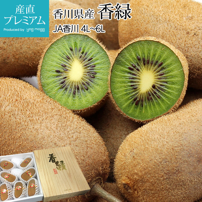   ٹ񻺥ե롼 4L6L 79  Ȣ ľ<br>ڥե롼 դ롼  ꡼󤭤 ʪ ե롼 ե £ ץ쥼ȡۡڻľץߥ