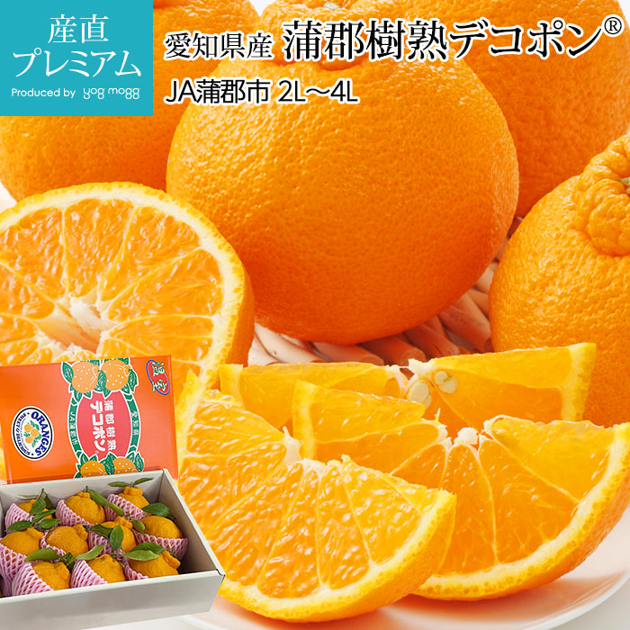 �ǥ��ݥ� �������ϥǥ��ݥ� 2L��4L������ 8��12�� ���θ���<br>�ڤǤ��ݤ� �ߤ��� �ߥ��� ̪�� ���� ���� ������ �ե롼�� ��ʪ ���ե� £�� �ץ쥼��� ��ˤ� Ȣ�������ۡڻ�ľ�ץ�ߥ����