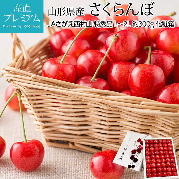 �������� ��ƣ�� �Ƚ��� �ý��� ��300g L��2L������ �������� �ϥ������ݡڥ������� ���Ȥ��ˤ��� �٤ˤ��夦�ۤ� ������ �ե롼�� ��ʪ ���ե� £�� �ץ쥼��� ��ˤ��ۡڻ�ľ�ץ�ߥ����