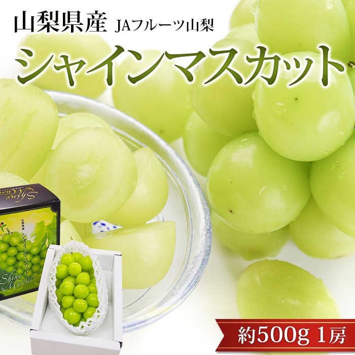 �֤ɤ� ���㥤��ޥ����å� ��500g 1˼ �ϥ������� �������� ����ľ��<br>�ڥ֥ɥ� ��ƺ �ޥ����å� ������ �ե롼�� ��ʪ ���ե� £�� �ץ쥼��� ��ˤ� �л��ˤ��ۡڻ�ľ�ץ�ߥ����