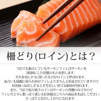 サーモン サーモン 鮭屋の柵どり済み トラウトサーモン 300gup 1枚 北晃