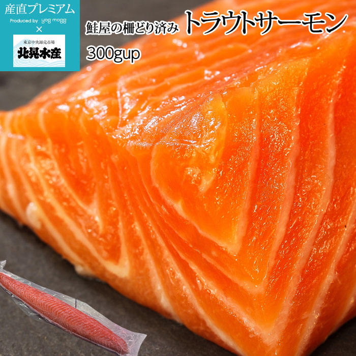 サーモン 鮭屋の柵どり済み トラウトサーモン 300gup 1枚 北晃