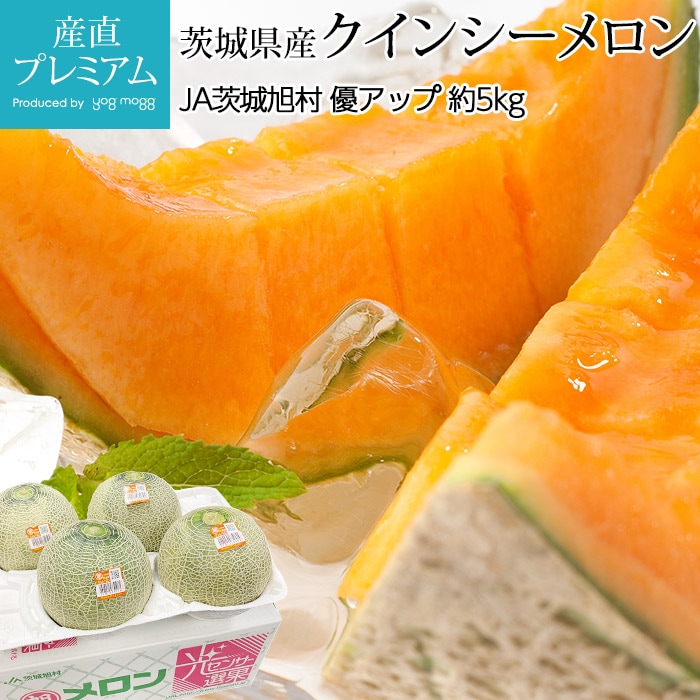 ����� �����󥷡������ ͥ���å� ��5kg 4��6�� ��븩��<br>�ڤ���� ������ �ե롼�� ��ʪ ���ե� £�� �ץ쥼��� ��ˤ��ۡڻ�ľ�ץ�ߥ����