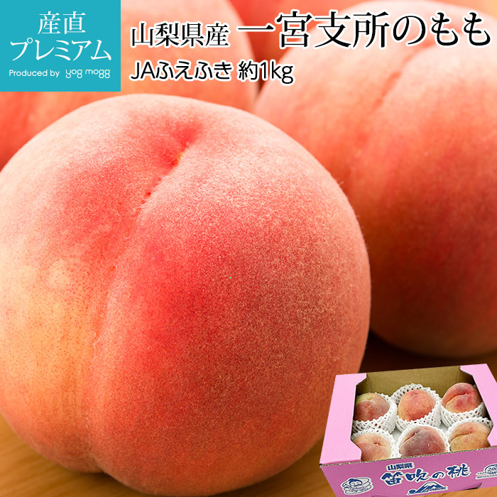 ゆきえ 梅 10Kg 6月13日収穫 山梨県北杜市産 2