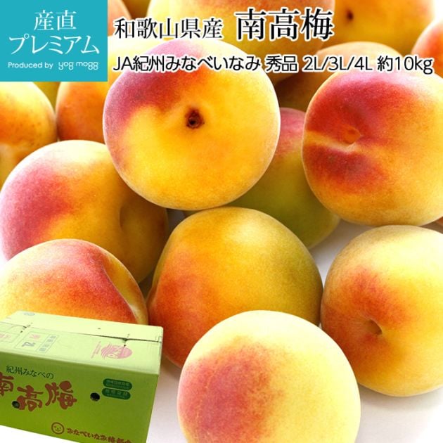 �� ����� ���� ��10kg �²λ������ڤ��� ���� �ʤ󤳤����� �ʥ󥳥����� �ʤ󤳤��Ф� �ʥ󥳥��Х� ������ �ե롼�� ��ʪ ���ե� £�� �ץ쥼��� ��ˤ��ۡڻ�ľ�ץ�ߥ����