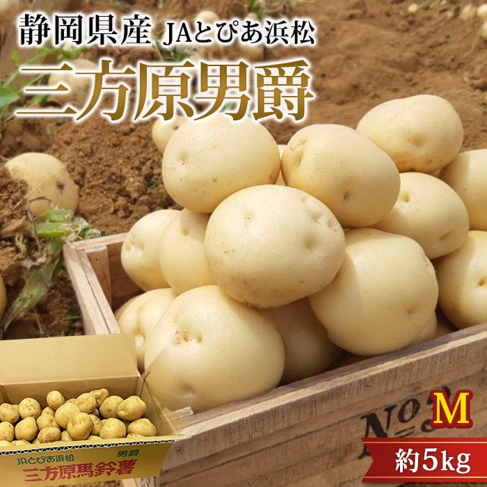 ���㤬���� �������˼� ��5kg M������ 40��50�� �Ų����� ���˼� �˼ߥ��� �˼ߤ��� ����������� ������ �Ų� ���㥬���� �ݥƥ� ������ ��� £�� �ץ쥼��� ��ˤ��ۡڻ�ľ�ץ�ߥ����