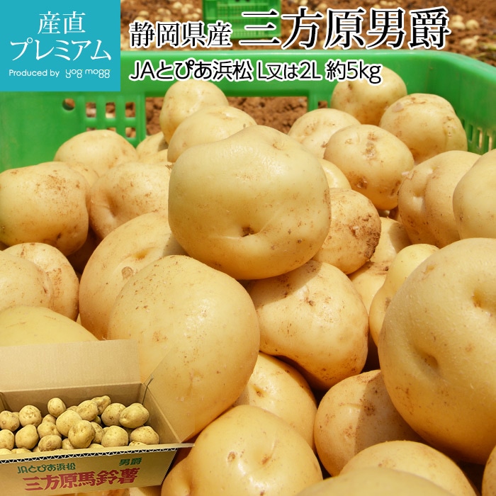 1494円 売店 じゃがいも 今金男爵 約10kg Lサイズ 約65個 又は2Lサイズ 約45個 北海道産 1494円 売店 じゃがいも 今金男爵 約10kg Lサイズ 約65個 又は2Lサイズ 約45個 北海道産