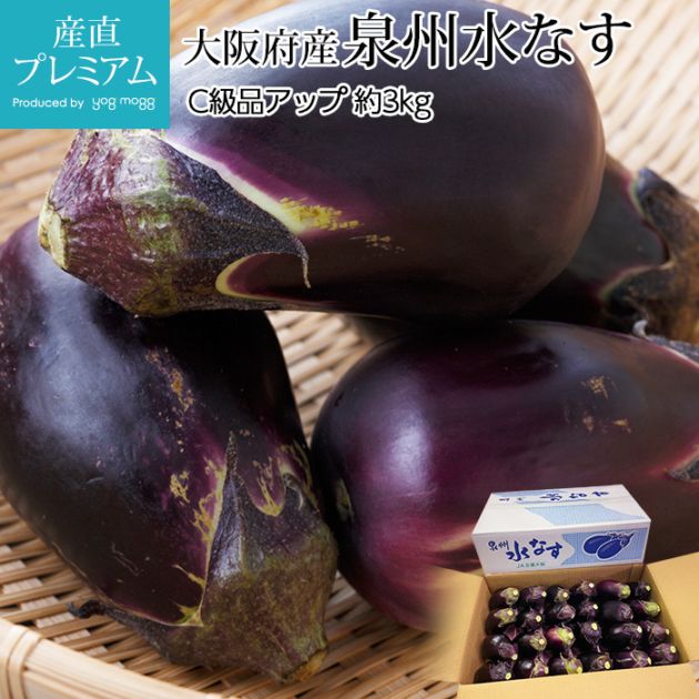 泉州水茄子 大阪府産(JA大阪泉州) 泉州水なす 小箱 1kg【お届け期間：6月10