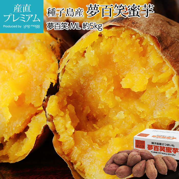 Ĥޤ ̴ɴ̪ 5kg ML 21 绺 ľڥĥޥ Ǽ Τ Υ ߤĤ ߥĥ Ҥ㤯礦 ݥƥ   ե £ ץ쥼ȡۡڻľץߥ