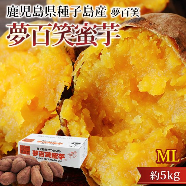 ���Ĥޤ��� ̴ɴ��̪�� ��5kg ML������ ��21�� ����绺 ����ľ���ڥ��ĥޥ��� ��Ǽ�� ����Τ����� ����Υ����� �ߤĤ��� �ߥĥ��� ���Ҥ㤯���礦 �ݥƥ� ������ ��� ���ե� £�� �ץ쥼��ȡۡڻ�ľ�ץ�ߥ����