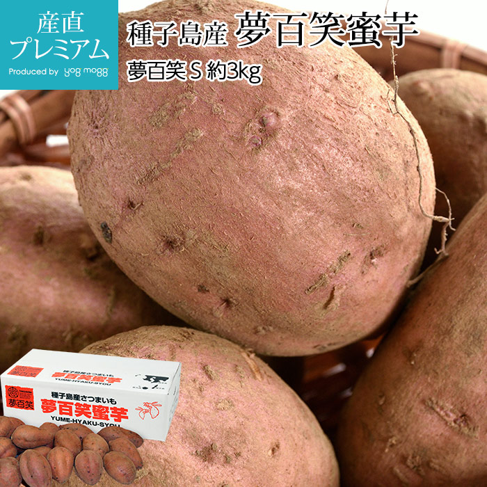 ���Ĥޤ��� ̴ɴ��̪�� ��3kg S������ ��21�� ����绺 ����ľ���ڥ��ĥޥ��� ��Ǽ�� ����Τ����� ����Υ����� �ߤĤ��� �ߥĥ��� ���Ҥ㤯���礦 �ݥƥ� ������ ��� ���ե� £�� �ץ쥼��ȡۡڻ�ľ�ץ�ߥ����