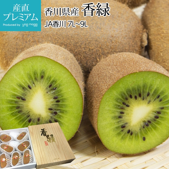   ٹ񻺥ե롼 7L9L 56  Ȣ ľ<br>ڥե롼 դ롼  ꡼󤭤 ʪ ե롼 ե £ ץ쥼ȡۡڻľץߥ