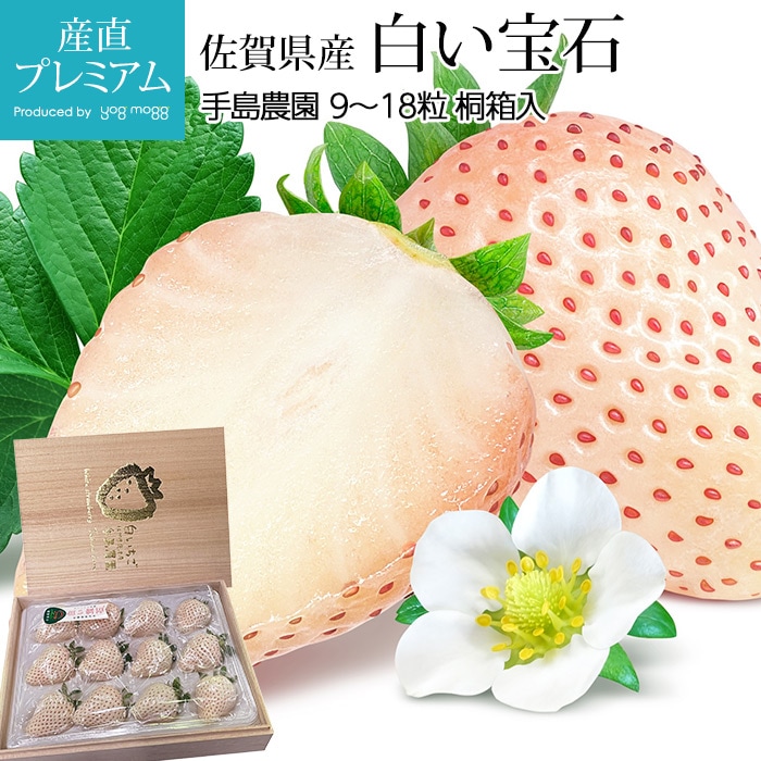 ������ ������ 9��18γ �򤤤��� ��Ȣ�� �������� ���츩�� ����ľ��<br>�ڤ������ۤ����� �������ۥ����� ������ �� �򥤥��� ���ȥ��٥꡼ ������ �ե롼�� ��ʪ ���ե� £�� �ץ쥼��� ��ˤ��ۡڻ�ľ�ץ�ߥ����