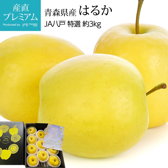 りんご はるか 特選 約3kg 8～12玉 青森県産 産地直送<br>【林檎