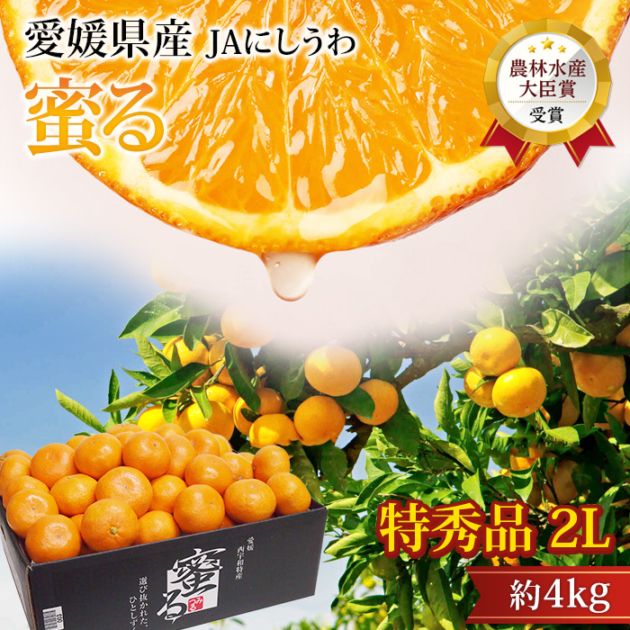 フルーツ,みかん・柑橘類 | 高級フルーツ(高級果物)の通販なら旬のもの