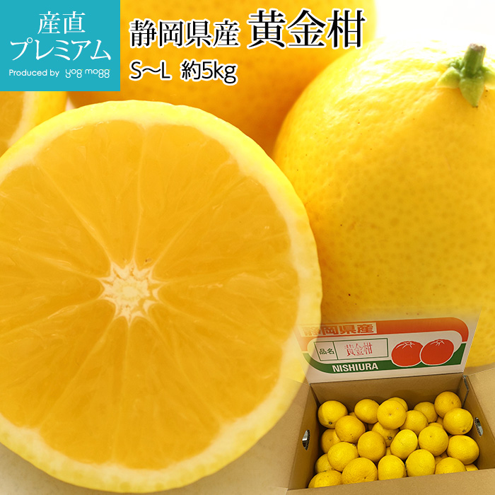 ���ⴻ ��5kg S��L������ 40��60�� �Ų����� <br>�ڤ������󤫤� �������󥫥� ������ǥ󥪥�� ���� ������ �ե롼�� ��ʪ ���ե� £�� �ץ쥼��� ��ˤ� Ȣ�������ۡڻ�ľ�ץ�ߥ����