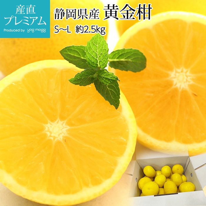 ���ⴻ ��2.5kg S��L������ 20��30�� �Ų�����<br>�ڤ������󤫤� �������󥫥� ������ǥ󥪥�� ���� ������ �ե롼�� ��ʪ ���ե� £�� �ץ쥼��� ��ˤ� Ȣ�������ۡڻ�ľ�ץ�ߥ����