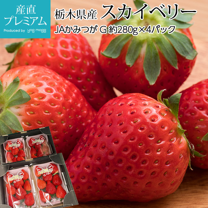  ٥꡼ G 4ѥå ڸ<br>ڥ  ȥ٥꡼  ե롼 ʪ ե £ ץ쥼 ˤۡڻľץߥ