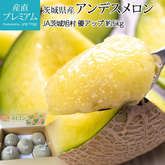 ����� ����ǥ������ ���륽������ ͥ���å� ��5kg 4��6�� ��븩��<br>�ڤ���� ����ǥ������ ���륽������ ������ �ե롼�� ��ʪ ���ե� £�� �ץ쥼��� ��ˤ��ۡڻ�ľ�ץ�ߥ����