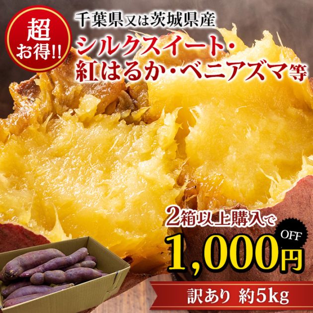 さつまいも 訳あり C品 約5kg サイズおまかせ 千葉県・茨城県産<br