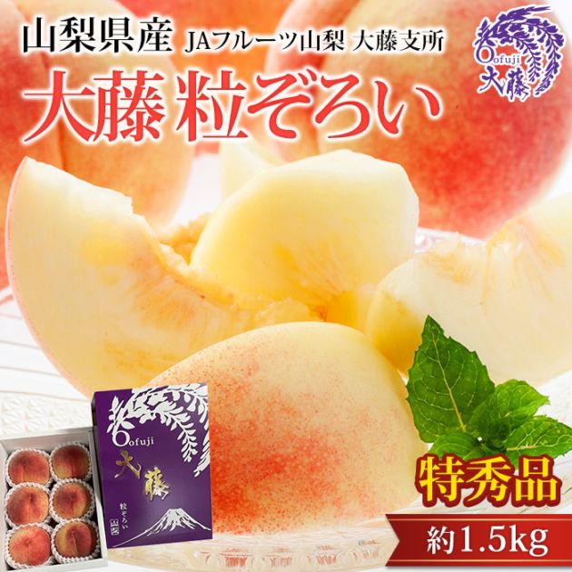 �� γ������ �ý��� ��1.5kg 5��7�� �������� ����ľ���ڥ�� ��� ���� ������ �ե롼�� ��ʪ ���ե� £�� �ץ쥼��� ��ˤ� �л��ˤ��ۡڻ�ľ�ץ�ߥ����