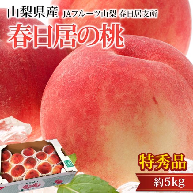 �� ��������� �ý��� ��5kg 12��16�� �������� ����ľ��<br>�ڥ�� ��� ������Τ�� ���� ������ �ե롼�� ��ʪ ���ե� £�� �ץ쥼��� ��ˤ� �л��ˤ��ۡڻ�ľ�ץ�ߥ����