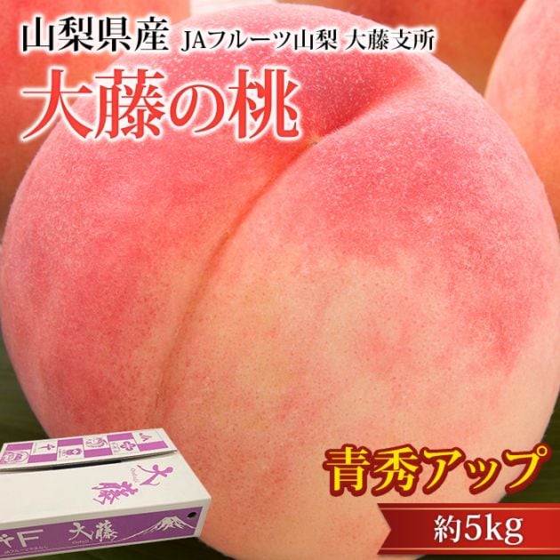 �� ��ƣ���� �Ľ����å� ��5kg 15��22�� �������� ����ľ���ڥ�� ��� ���� ������ �ե롼�� ��ʪ ���ե� £�� �ץ쥼��� ��ˤ� �л��ˤ��ۡڻ�ľ�ץ�ߥ����