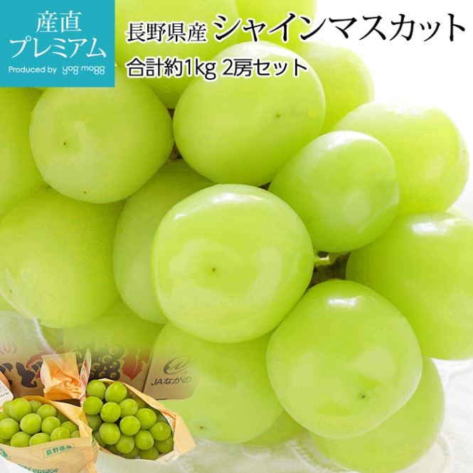 ぶどう シャインマスカット 約1kg 2房 長野県産<br>【ブドウ