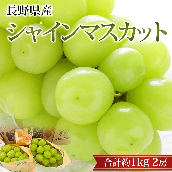 �֤ɤ� ���㥤��ޥ����å� ��1kg 2˼ Ĺ���<br>�ڥ֥ɥ� ��ƺ �ޥ����å� ������ �ե롼�� ��ʪ ���ե� £�� �ץ쥼��� ��ˤ� �л��ˤ��ۡڻ�ľ�ץ�ߥ����
