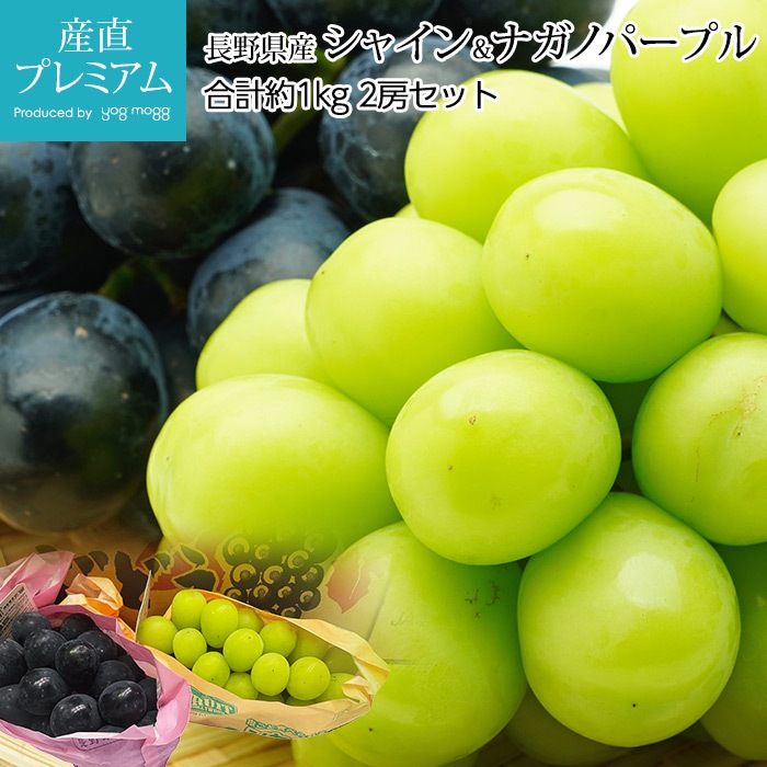 ぶどう シャインマスカット ナガノパープル 約1kg 2房セット
