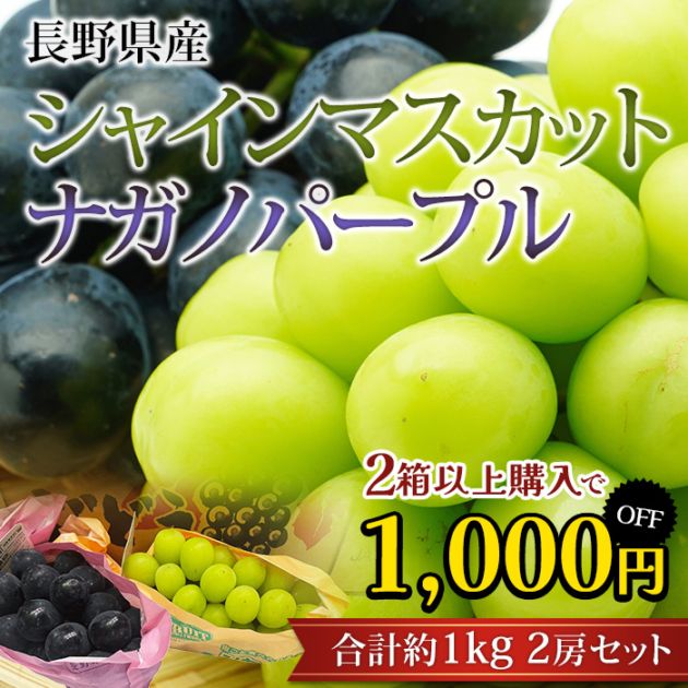 ��2Ȣ�ʾ头������1,000��OFF�֤ۤɤ� ���㥤��ޥ����å� �ʥ��Υѡ��ץ� ��1kg 2˼���å� Ĺ���<br>�ڥ֥ɥ� ��ƺ ���㥤�� �ޥ����å� ������ ��ʪ ���ե� £�� �ץ쥼��� ��ˤ��ۡڻ�ľ�ץ�ߥ����