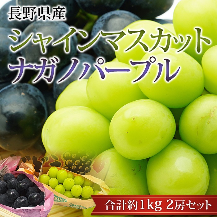 フルーツ,ぶどう,シャインマスカット | 高級フルーツ(高級果物)の通販