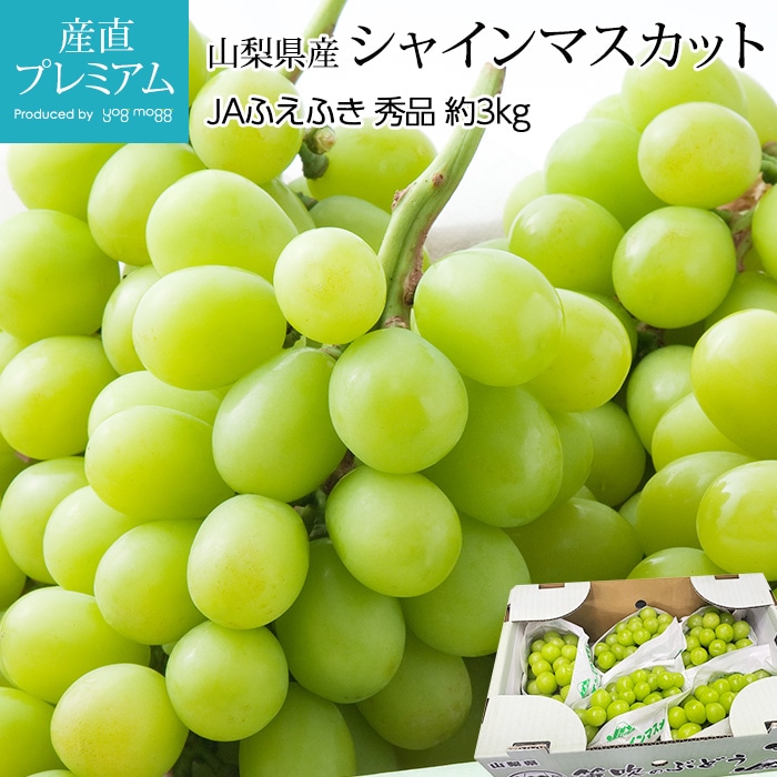 ֤ɤ 㥤ޥå  3kg 57˼ ڥ֥ɥ ƺ ޥå  ե롼 ʪ ե £ ץ쥼 ˤ