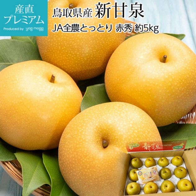   ֽ 5kg 816 Ļ踩<br>ڤʤ ʥ 󤫤󤻤 󥫥󥻥  ե롼 ʪ ե £ ץ쥼 ˤ лˤۡڻľץߥ