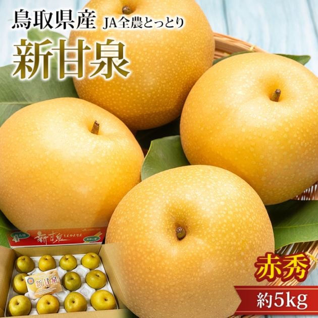 �� ������ �ֽ� ��5kg 8��16�� Ļ�踩��<br>�ڤʤ� �ʥ� ���󤫤󤻤� ���󥫥󥻥� ������ �ե롼�� ��ʪ ���ե� £�� �ץ쥼��� ��ˤ� �л��ˤ��ۡڻ�ľ�ץ�ߥ����