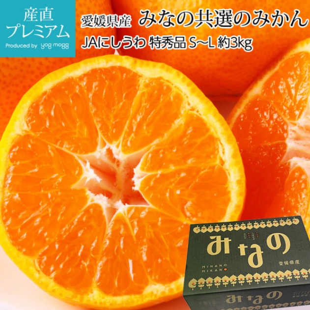 �ߤ��� �ߤʤζ����Τߤ��� �ý��� ��3kg S��L������ 20��40�� ��ɲ���� ����ľ����̪�� �ߥ��� ��� ������ �ե롼�� ��ʪ ���ե� £�� �ץ쥼��� ��ˤ� Ȣ�������ۡڻ�ľ�ץ�ߥ����