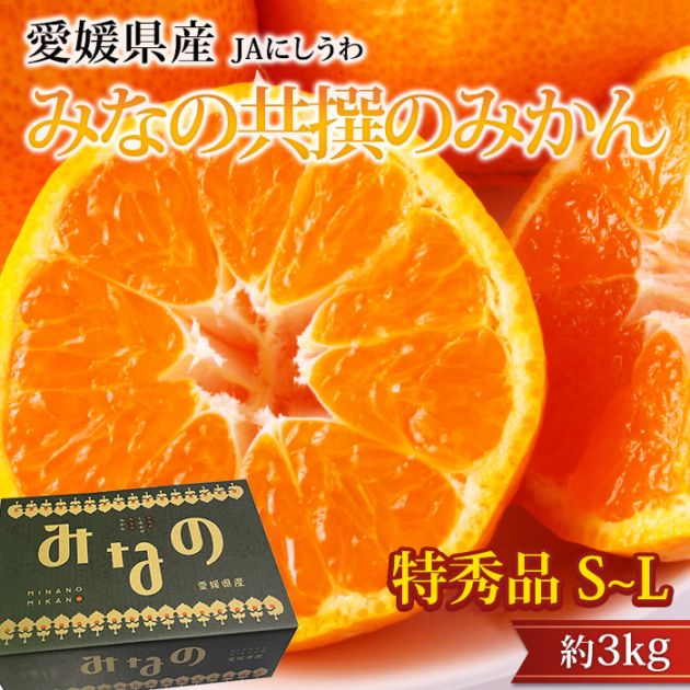 �ߤ��� �ߤʤζ����Τߤ��� �ý��� ��3kg S��L������ 20��40�� ��ɲ���� ����ľ��<br>��̪�� �ߥ��� ��� ������ �ե롼�� ��ʪ ���ե� £�� �ץ쥼��� ��ˤ� Ȣ�������ۡڻ�ľ�ץ�ߥ����