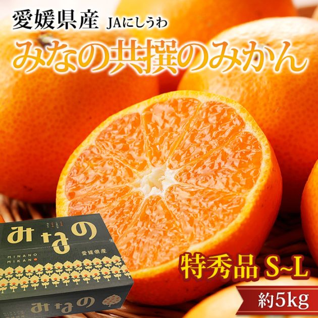 �ߤ��� �ߤʤζ����Τߤ��� �ý��� ��5kg S��L������ 40��60�� ��ɲ���� ����ľ��<br>��̪�� �ߥ��� ��� ������ �ե롼�� ��ʪ ���ե� £�� �ץ쥼��� ��ˤ� Ȣ�������ۡڻ�ľ�ץ�ߥ����