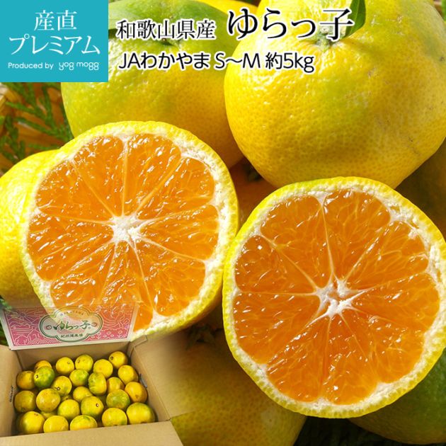 みかんさん専用 みかん ゆら早生みかん ゆらっ子 約5kg S～Mサイズ 和歌山県産