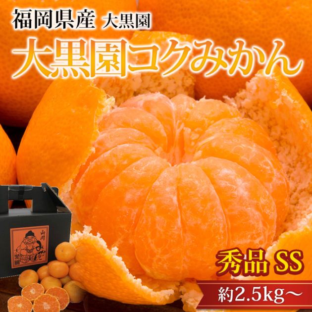 �ߤ��� ����ॳ���ߤ��� ���� ��2.5kg�� SS������ 37��45�� ���� ��γ ʡ�����ߤ�޻� ����ľ��<br>�ڥߥ��� ̪�� ������������ ������������ �����ߤ��� ������ �ե롼�� ��ʪ ���ե� £�� �ץ쥼��� ��ˤ� Ȣ�������ۡڻ�ľ�ץ�ߥ����